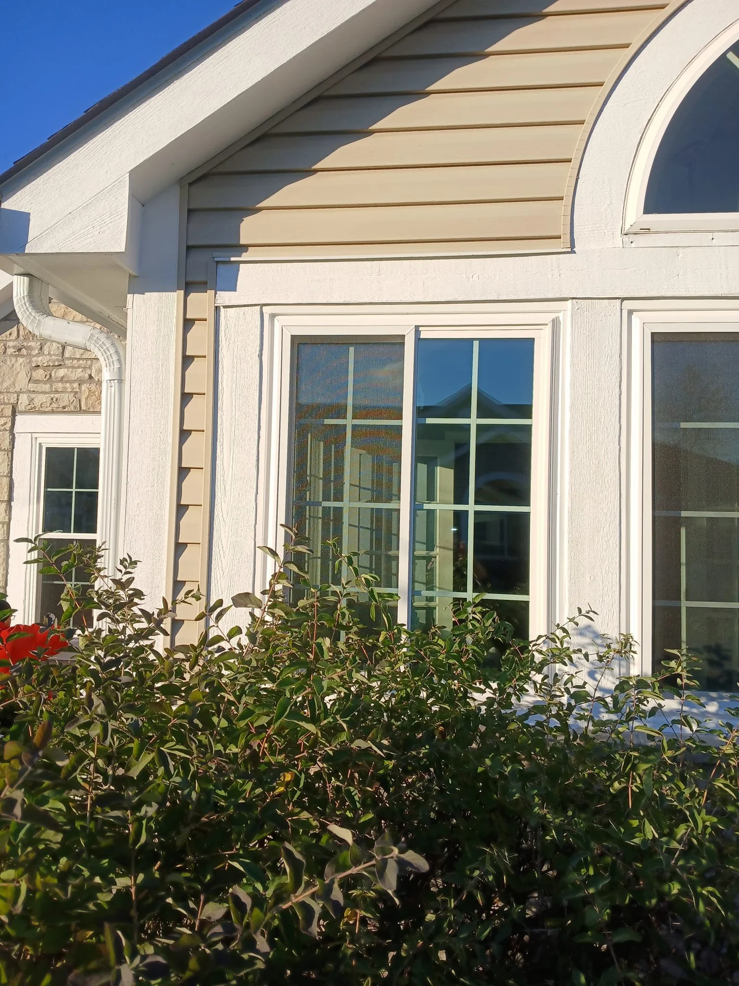 Suburban house window with arch design, beige siding, and shrubs